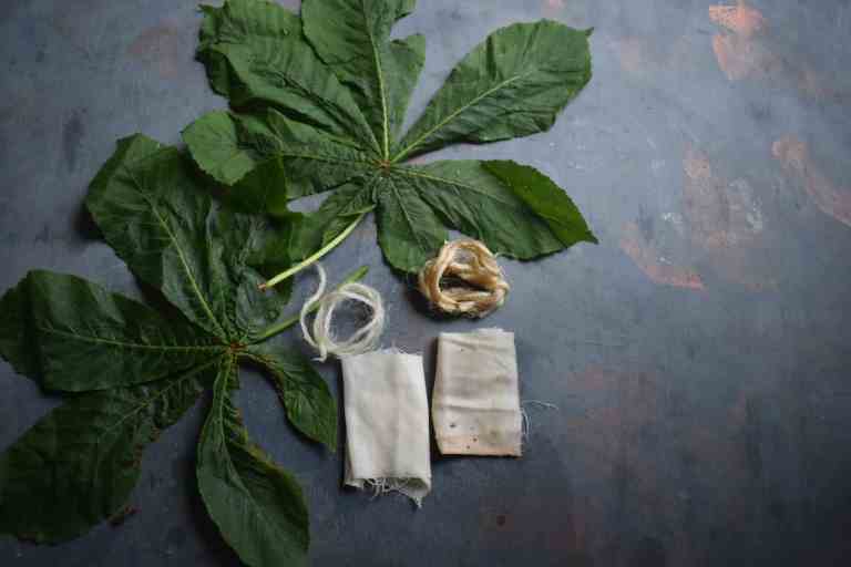 Fabric dyeing with Horse chestnut (conker) - Makergardener