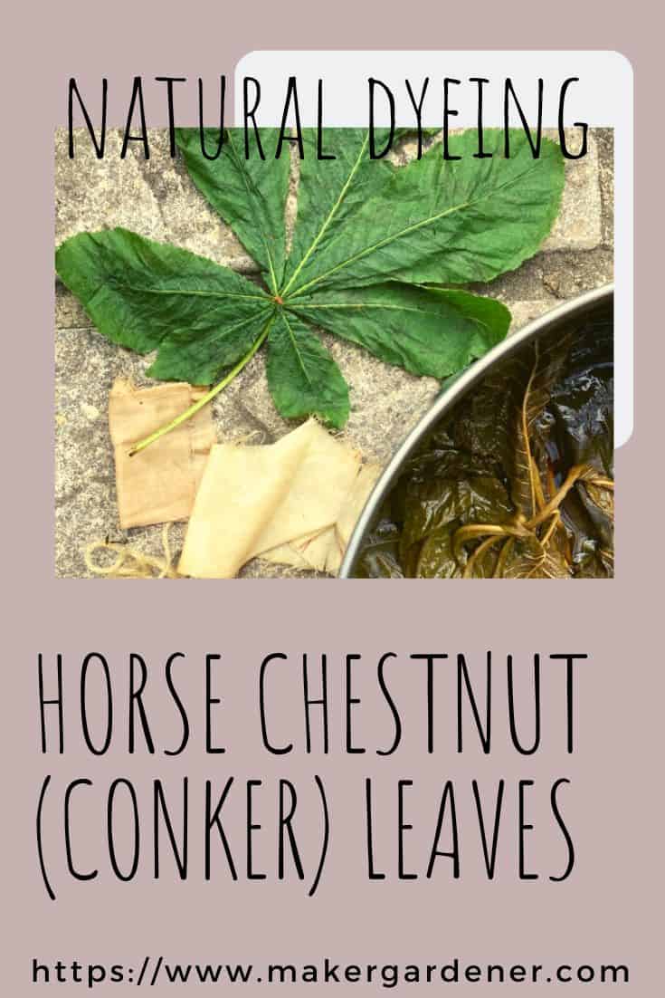 Fabric dyeing with Horse chestnut (conker) - Makergardener