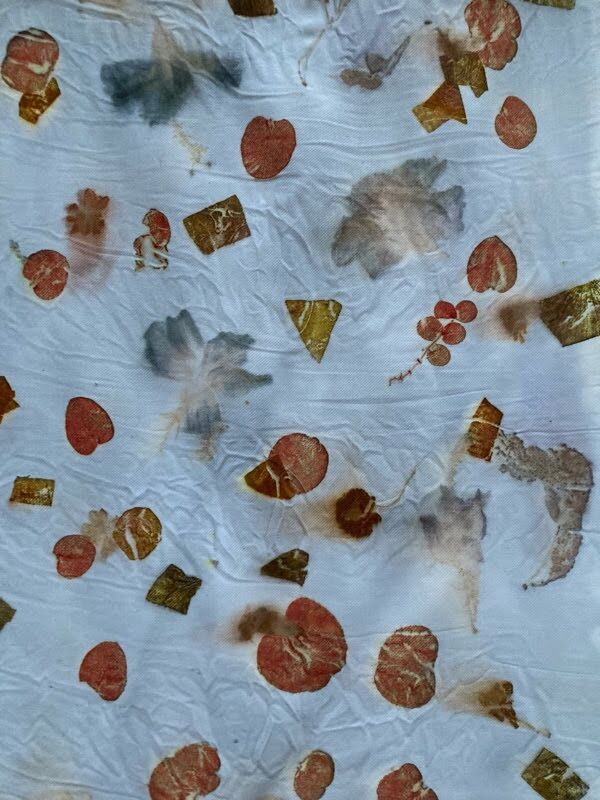 Eucalyptus and hibiscus printed on wool