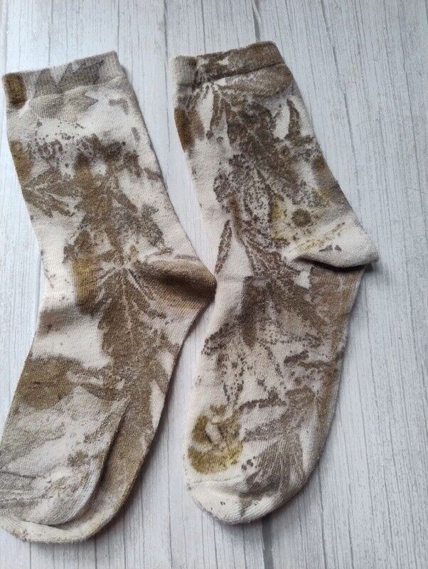 botanical printed socks